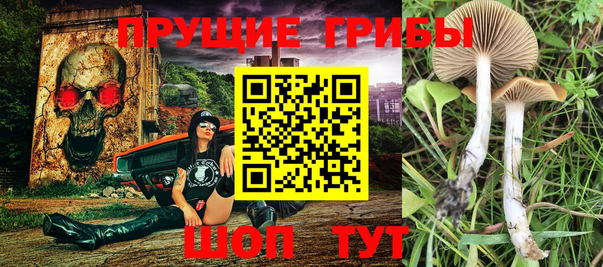 Лабинск  Псилоцибиновые грибы Psilocybe  Галлюциногенные грибы Cubensis  Вход с VPN 